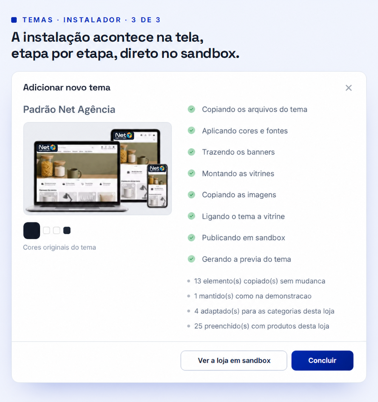 Instalação do tema passo a passo — Net Agência